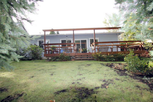 Lower level fireplace